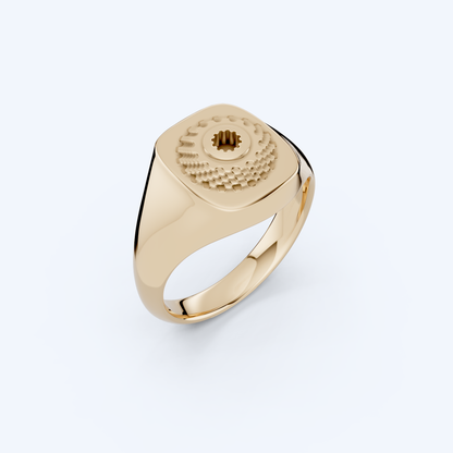 Casette Signet Ring 375 Yellow Gold