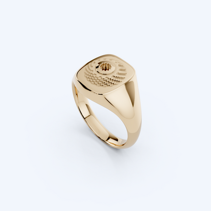 Casette Signet Ring 375 Yellow Gold