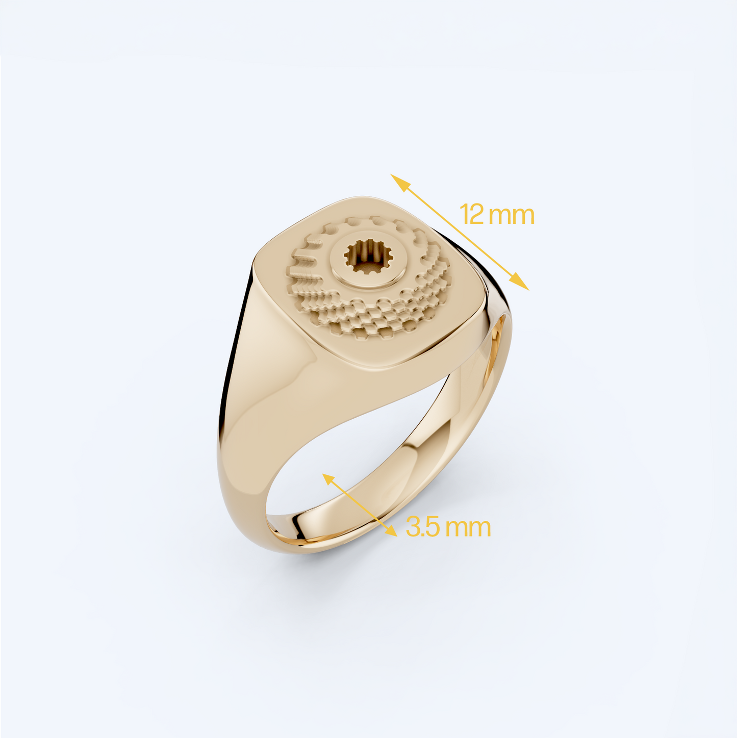 Casette Signet Ring 375 Yellow Gold